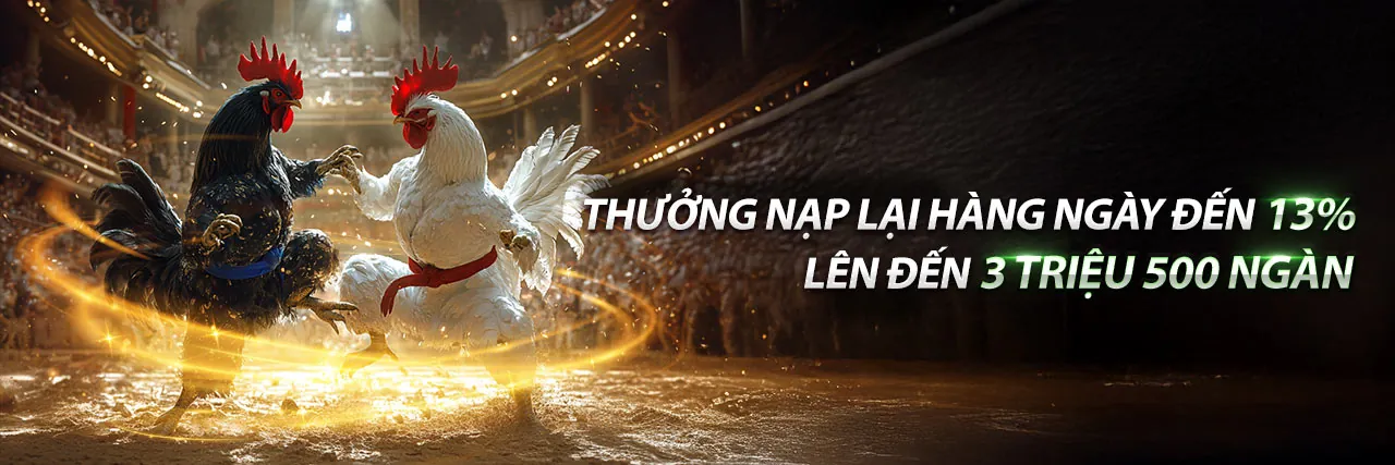 Trực Tiếp Đá Gà Thomo Ngày 2 Tháng 5 tại Jobet